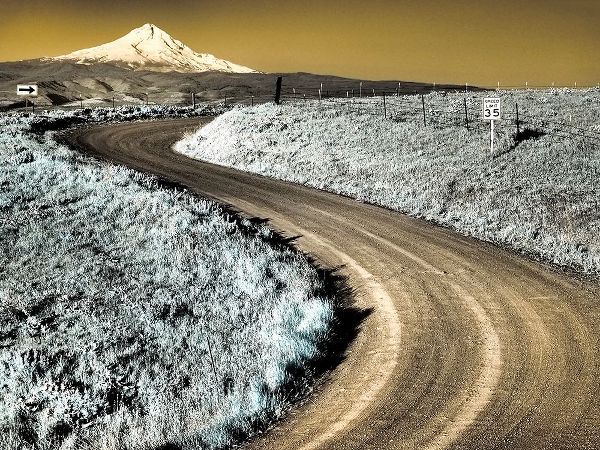 Eggers, Terry 아티스트의 USA-Washington State Infrared capture of road running though wildflowers with Mount Hood background작품입니다.